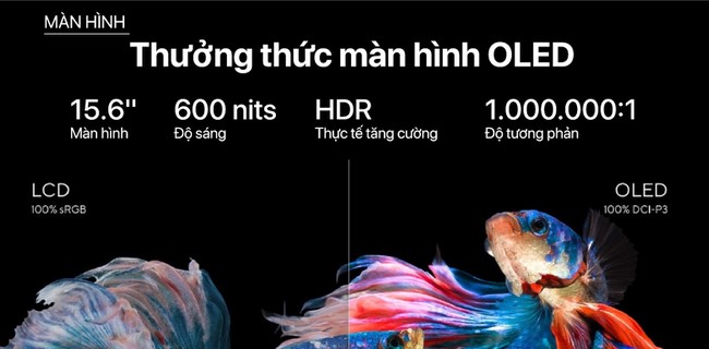 Làm việc đồ họa chuyên nghiệp, giải trí đỉnh cao trên màn hình OLED