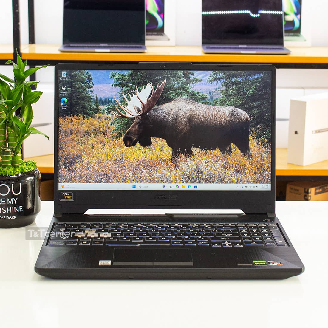 Màn hình 15.6 inch tấn số 144Hz, cho chất lượng hình ảnh sắc nét