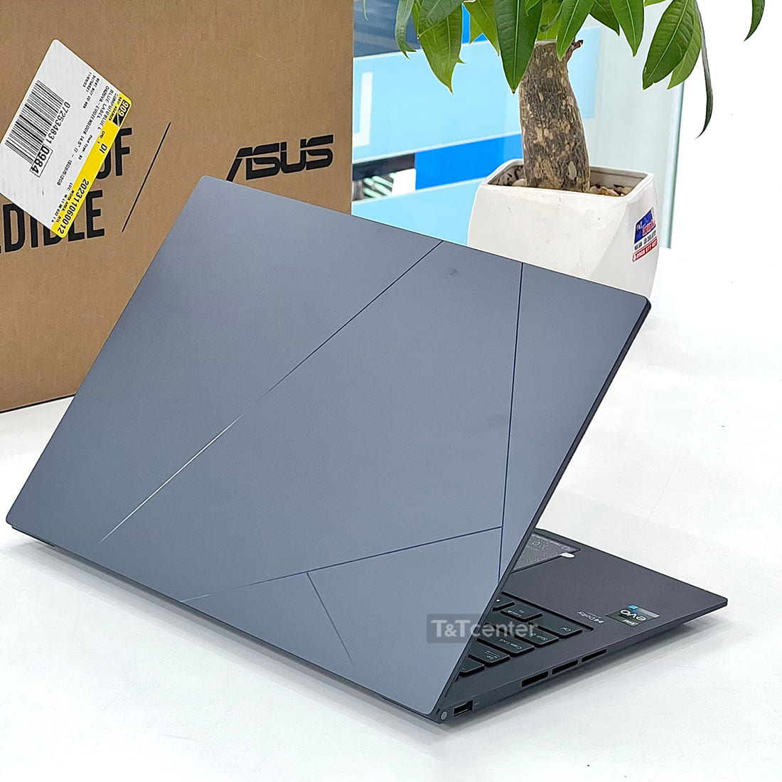 Vẻ đẹp vượt thời gian