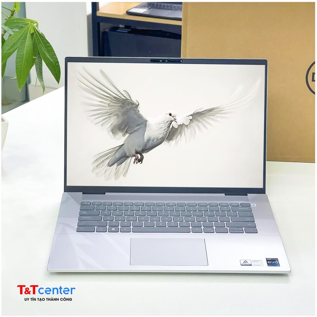 Màn hình tràn viền mang lại trải nghiệm tối ưu