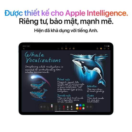 iPad Air M3 series có những phiên bản nào?