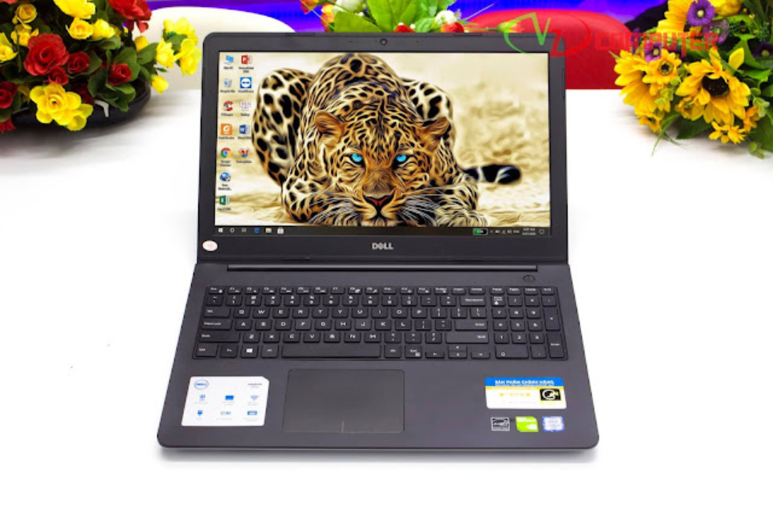 Hình ảnh đẹp, âm thanh sống động